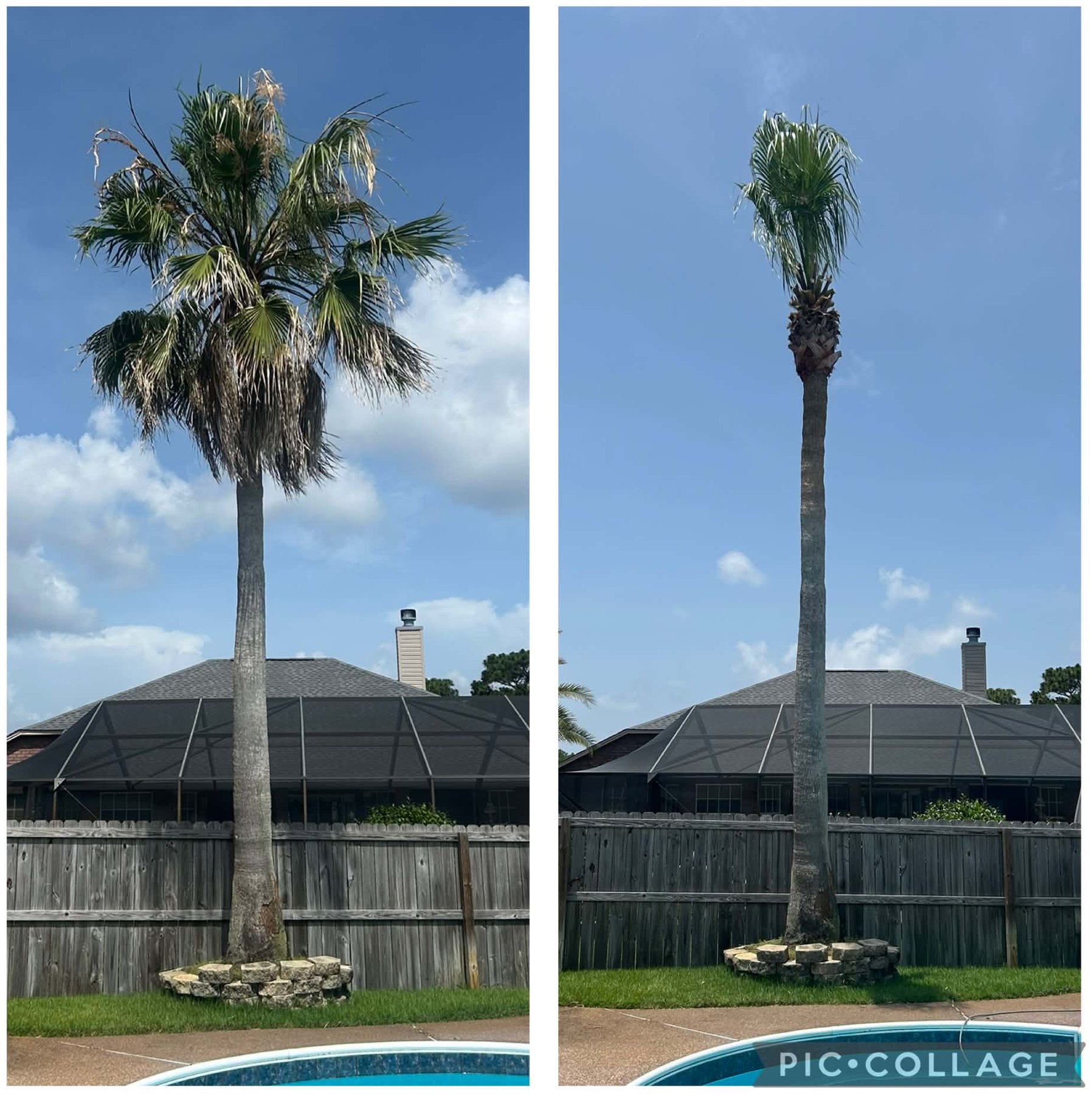 Hurricane Cut before and after example