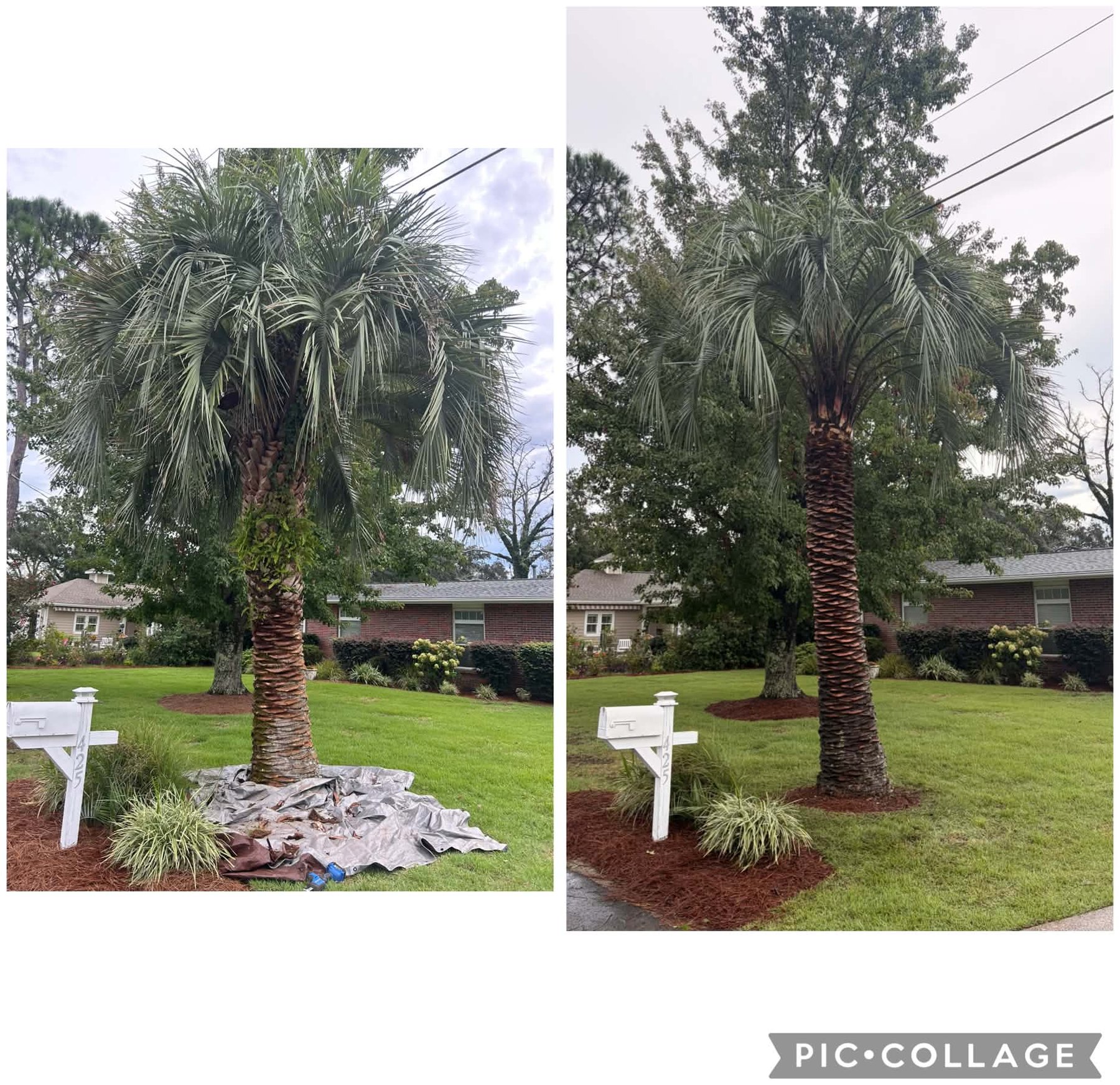 Pindo Skinning before and after example