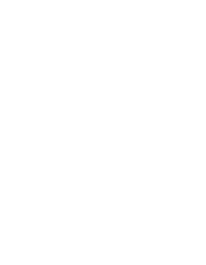 Panhandle Palm Trees