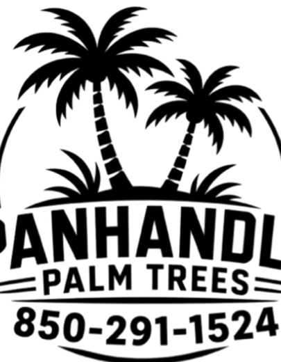 Panhandle Palm Trees