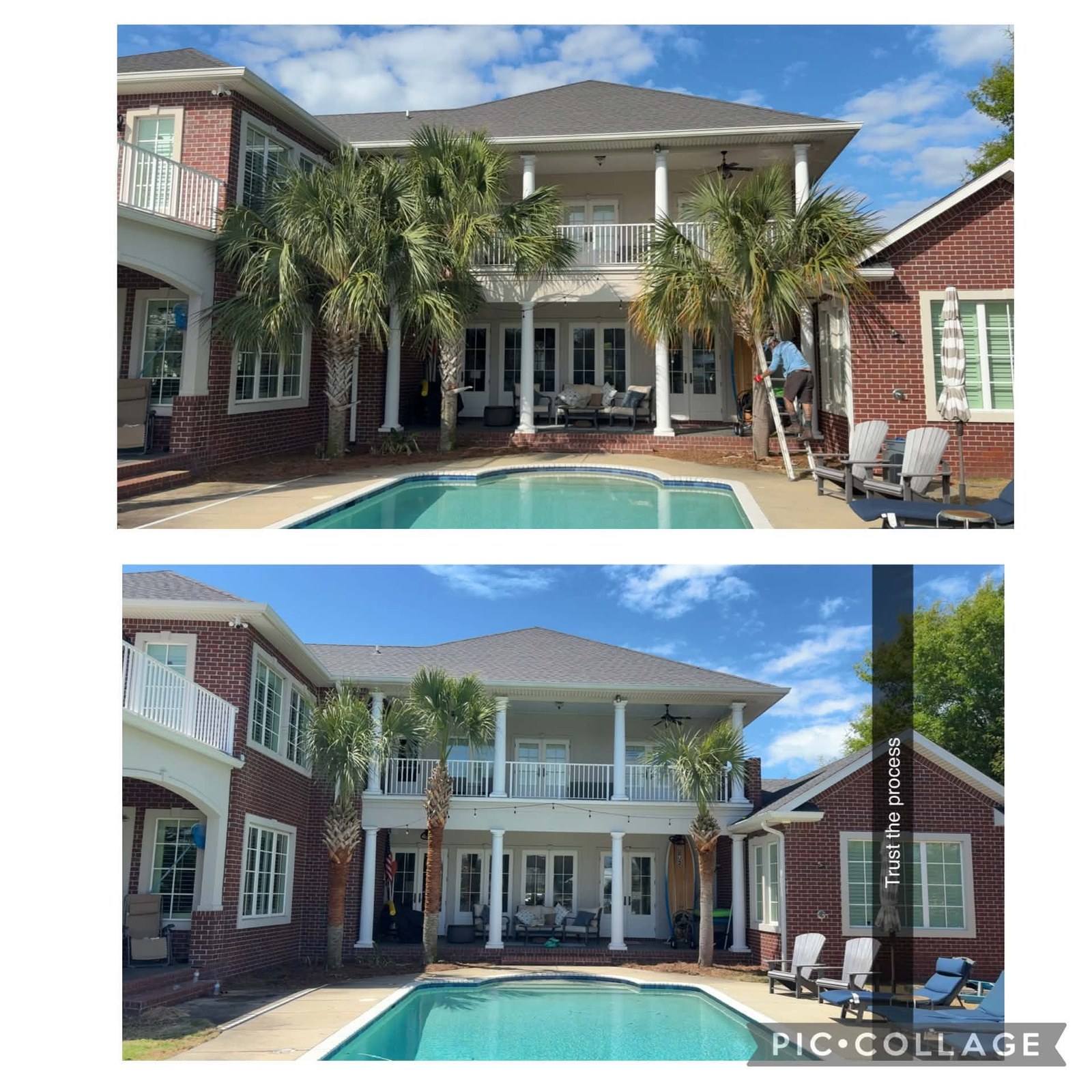 Poolside Palm Service